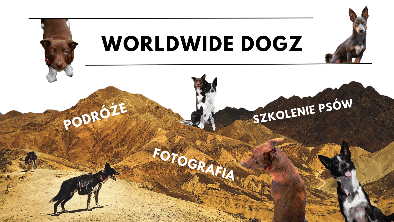 Worldwide Dogz